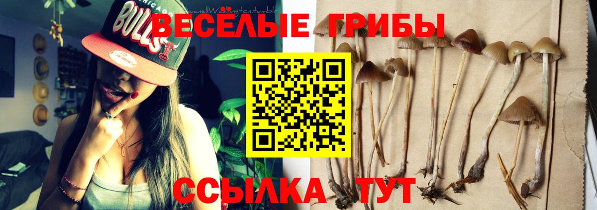 ГАШ  Конопля  LSD-25  Вход с VPN  Курчалой  МЕФ кристаллы 