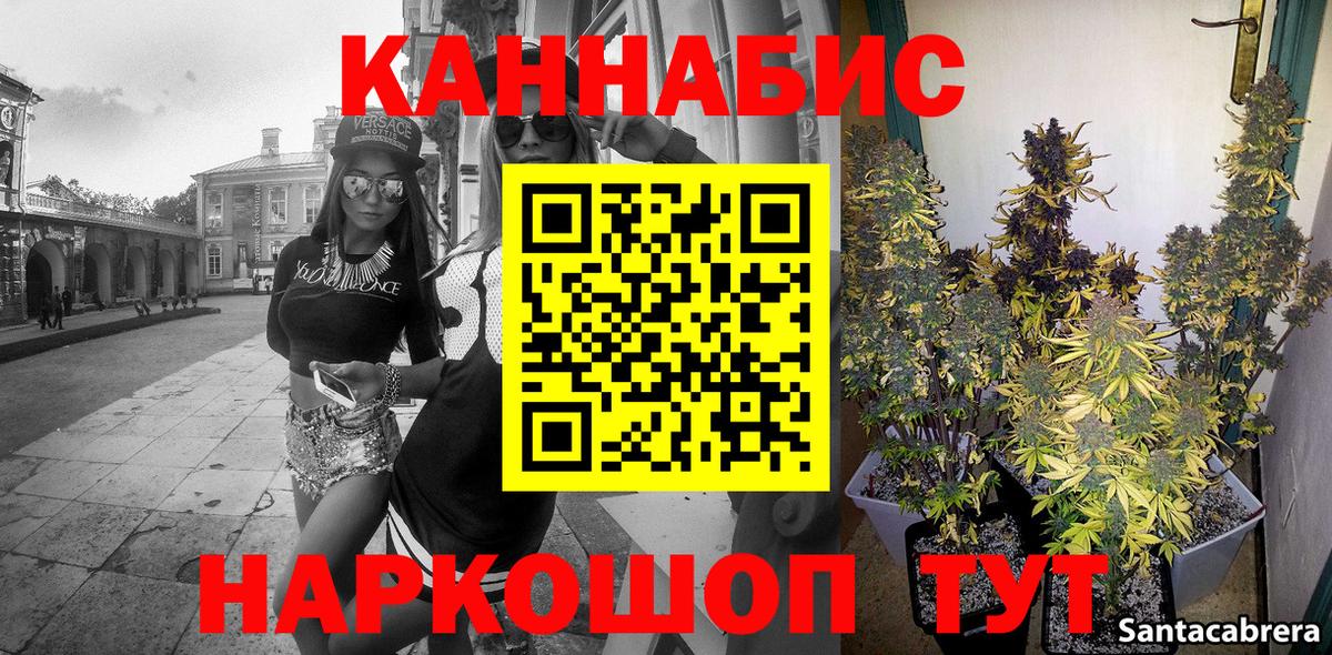 Марихуана тримм Курчалой